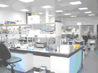 photo of lab